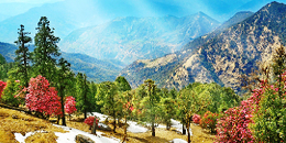 Almora