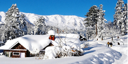 Patnitop